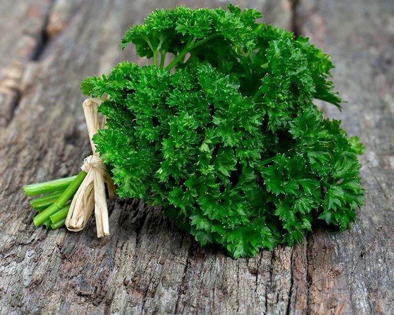 Mozette Parsley Seed  (35 per packet)
