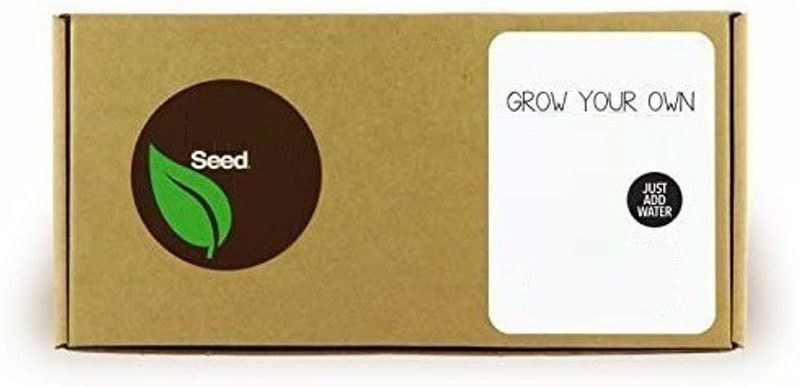 CYBEXIS Rocket Seeds Combo with Potter & Rootplug Seed  (5 g)