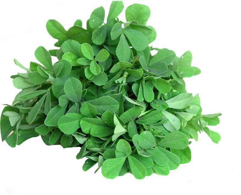 Greenly Methi/Fenugreek Seed  (40 per packet)