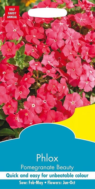 CYBEXIS Flower - Phlox - Pomegranate Beauty Seed  (1 g)