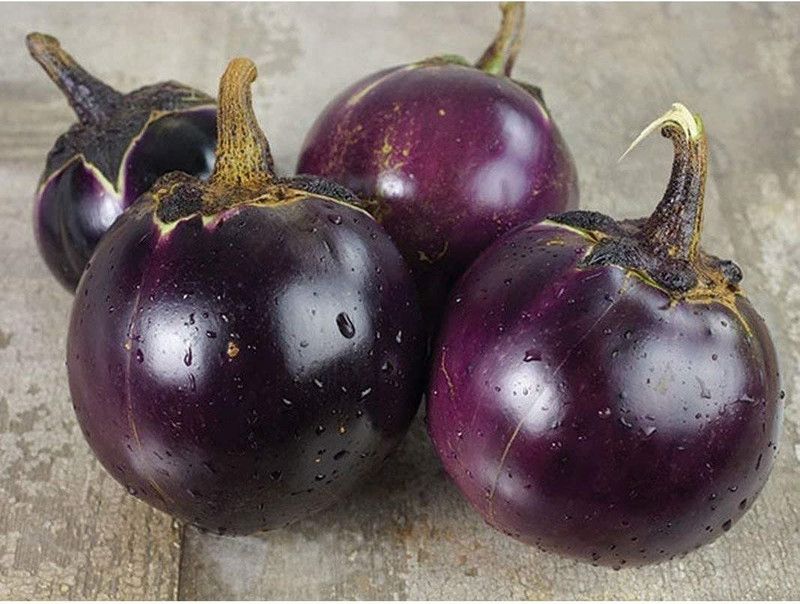 WILLVINE VVI-907 Thai Round Purple Brinjal Seeds Seed  (200 per packet)