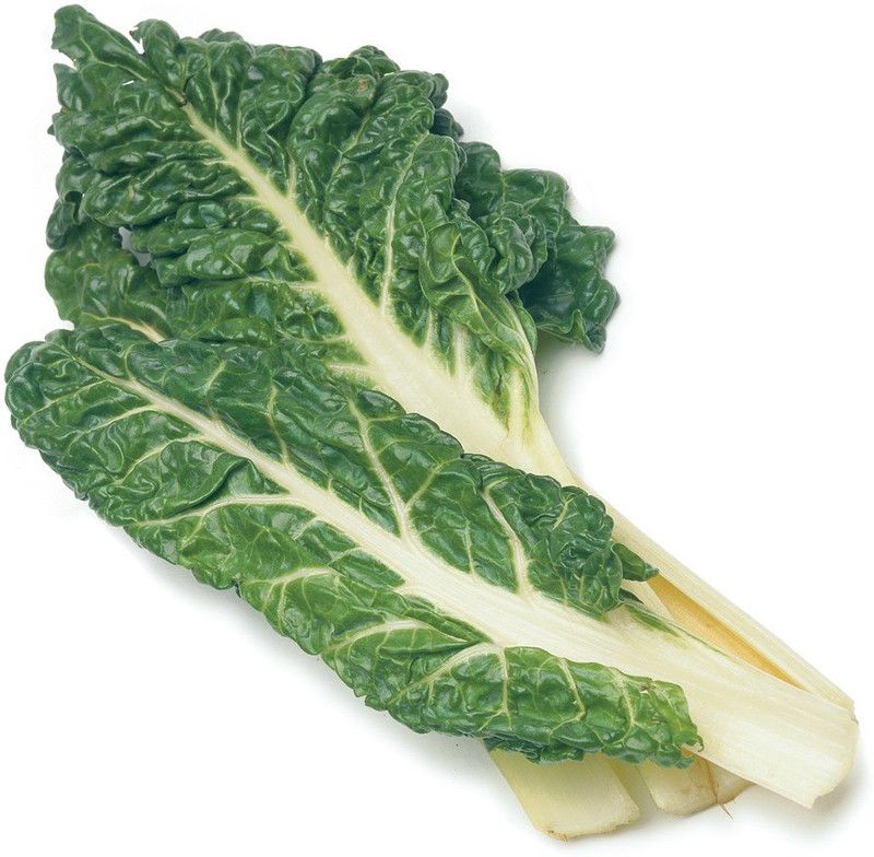 XOLDA Swiss Chard White Plant Seed  (12 per packet)