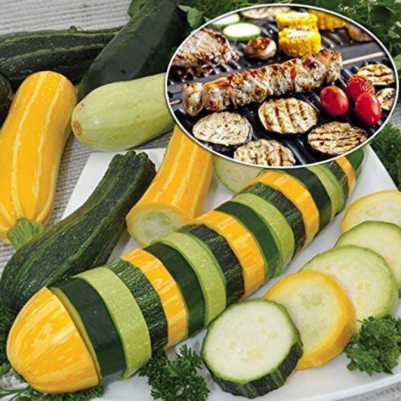 CYBEXIS NBIR-59 - Zucchini and Squash Mix - (75 Seeds) Seed  (75 per packet)