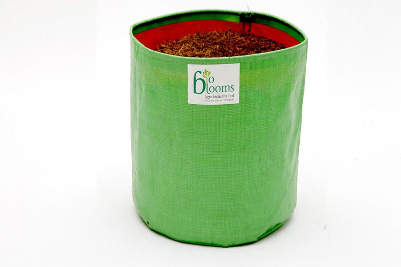 bio blooms OUTDOOR TERRACE GARDENING GROW BAG 9" X 12" Grow Bag