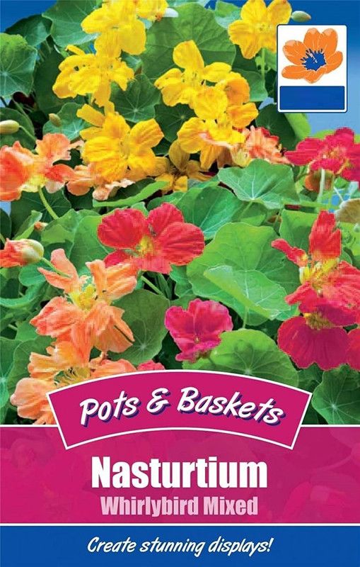 CYBEXIS Nasturtium Whirlybird Mixed Flower Seeds Seed  (1 g)