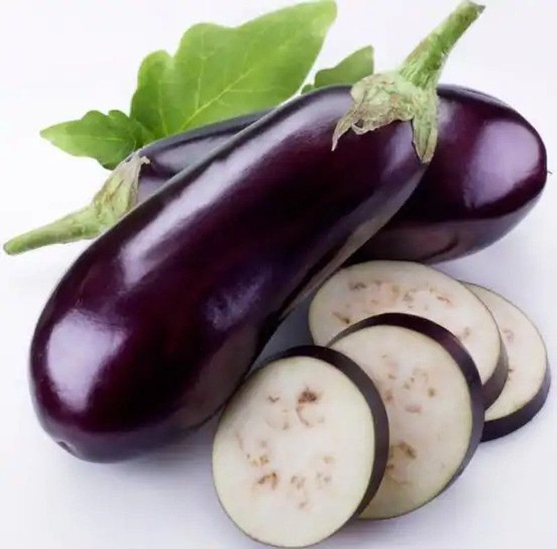 GREENZ Brinjal Seed  (100 per packet)