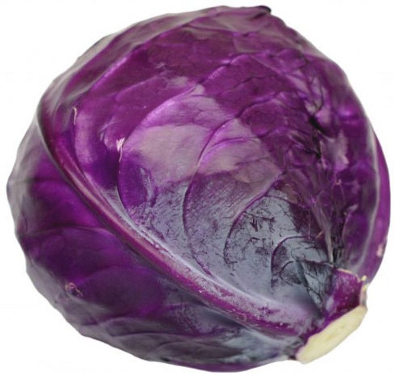 Paudha Cabbage Red Seed  (31 per packet)