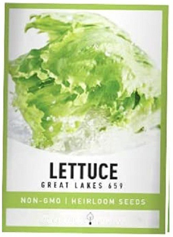 VibeX ® LXI-268 Great Lakes Lettuce Seed  (200 per packet)