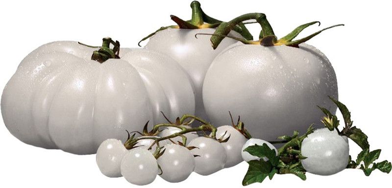 Futaba Rare White Tomato - 200 Pcs Seed  (200 per packet)