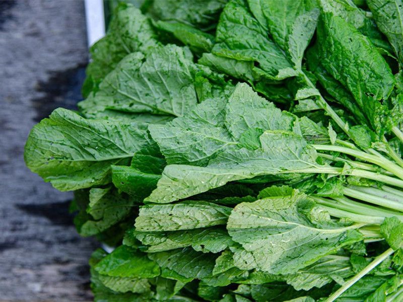 ANGIOOUTLETS Mustard Saag vegetables Seeds Pack of 30 Seeds Seed  (40 per packet)