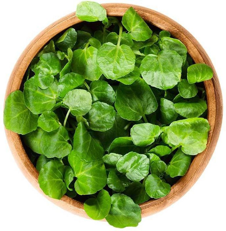 Nodoc WaterCress Seed  (55 per packet)