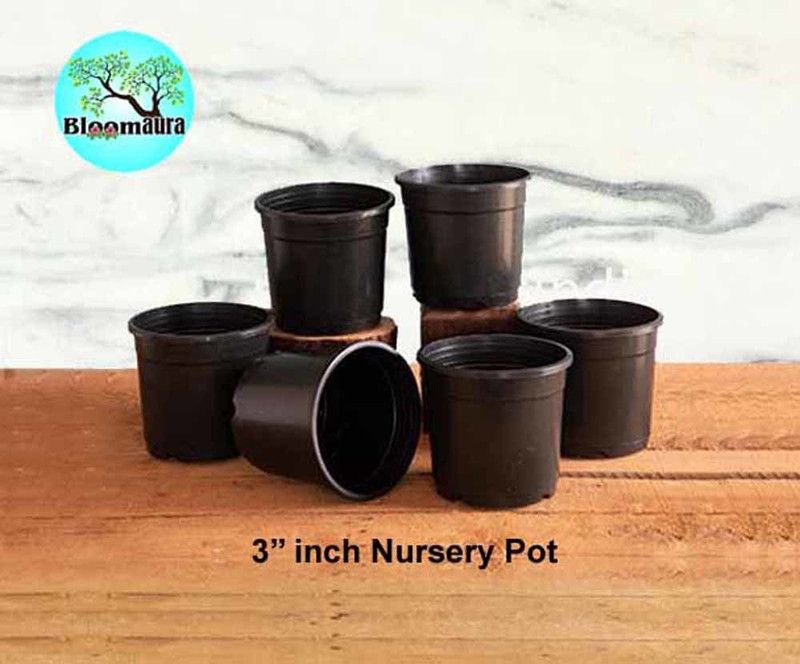bloomaura indoor outdoor Grow Bag