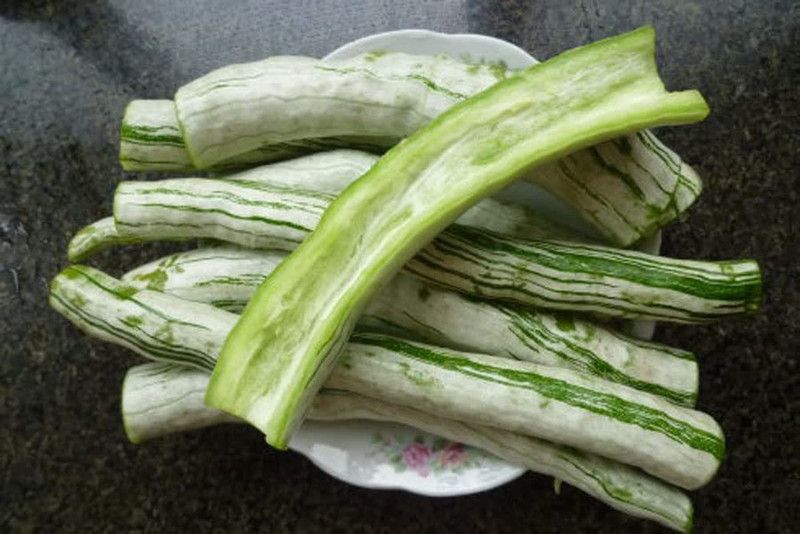WILLVINE KGF -6 Snake Gourd Seeds Trichosanthes Cucumerina Seed  (100 per packet)