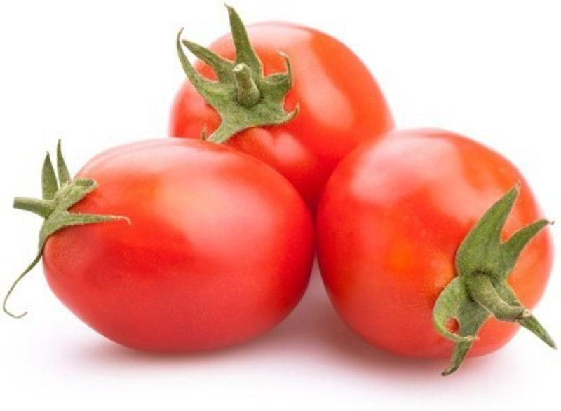 XOLDA Tomato Roma Seed  (35 per packet)