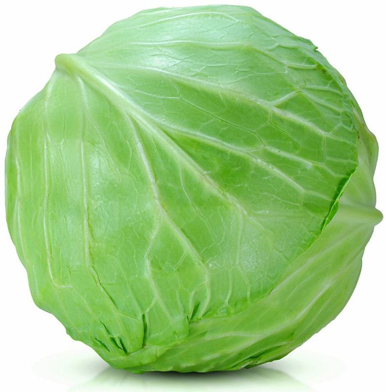 FRESHO Cabbage Seed  (70 per packet)