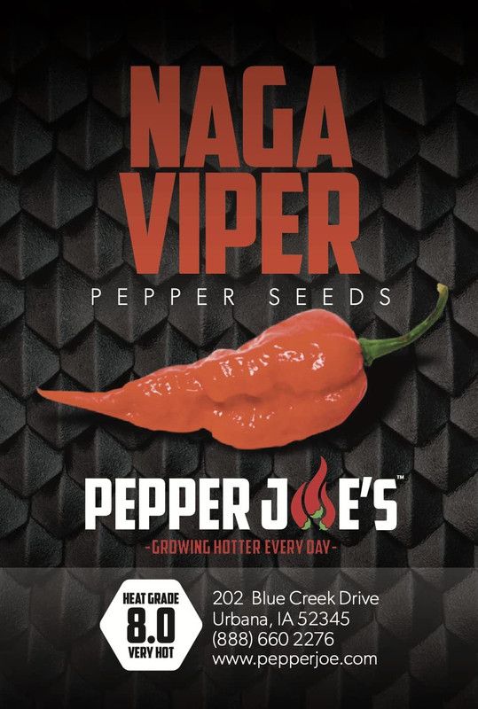 VibeX ® VMR-813 Naga Viper Pepper Chilli Seeds Seed  (200 per packet)