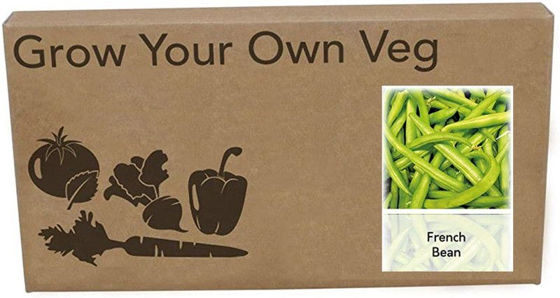 Qualtivate French Beans Seed  (375 per packet)