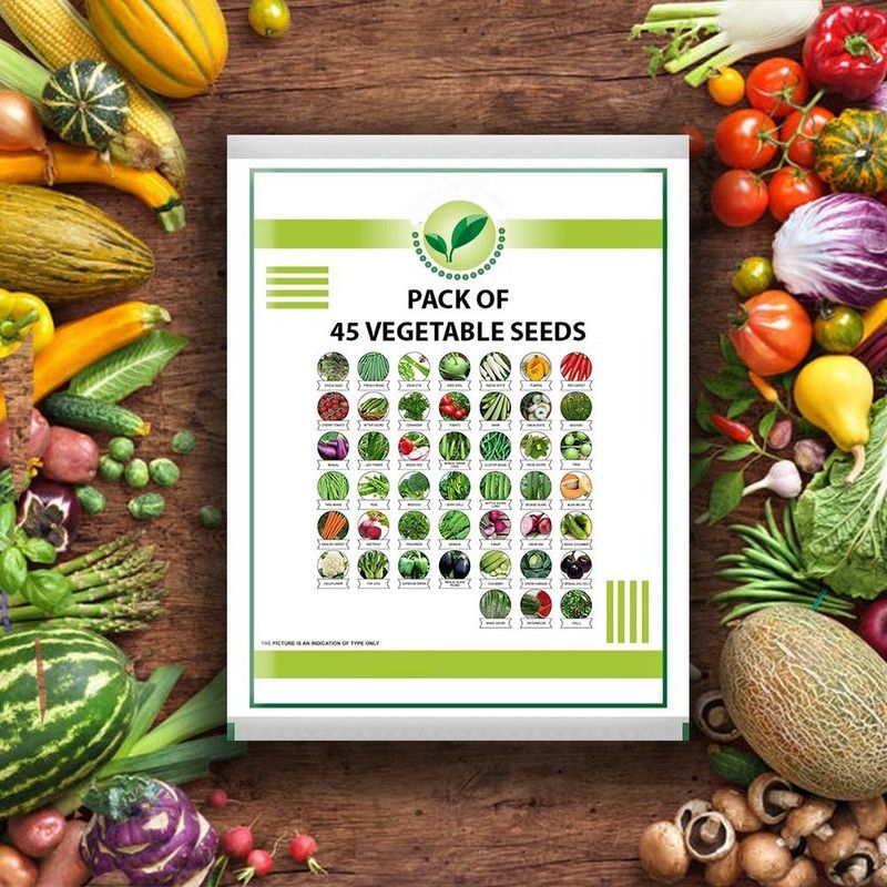 VibeX Easy to Grow Microgreens Vegetable Seeds Seed  (1575 per packet)