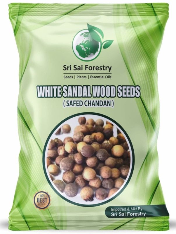 SRI SAI FORESTRY WHITE SANDALWOOD, SRI GANDAM, SAFED CHANDAN, Santalum Album Tree Seed  (1 kg)