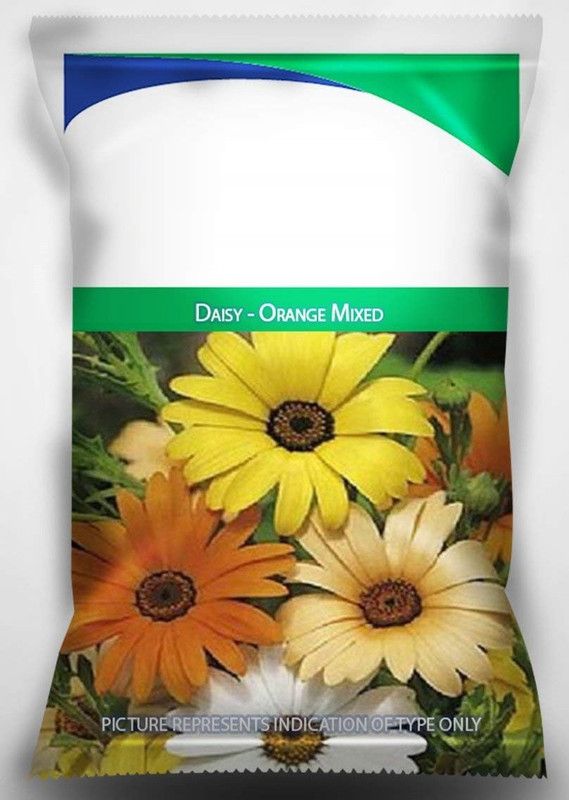CYBEXIS Daisy - Orange Mixed Flower Seeds Seed  (1 g)