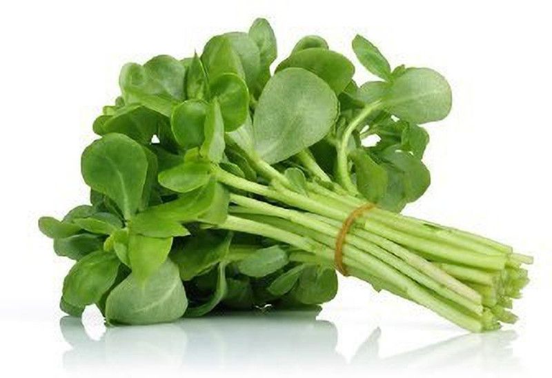 Nodoc Kulfa Seed  (93 per packet)