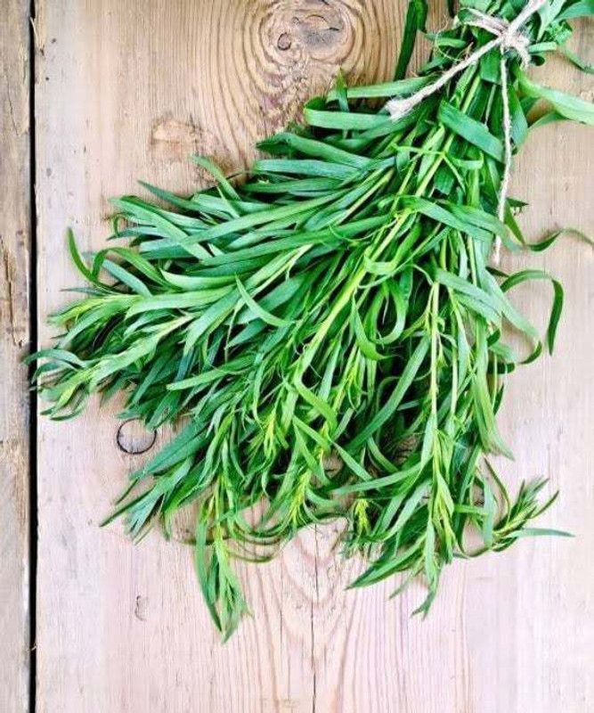 Mozette Terragon herbs Seed  (19 per packet)
