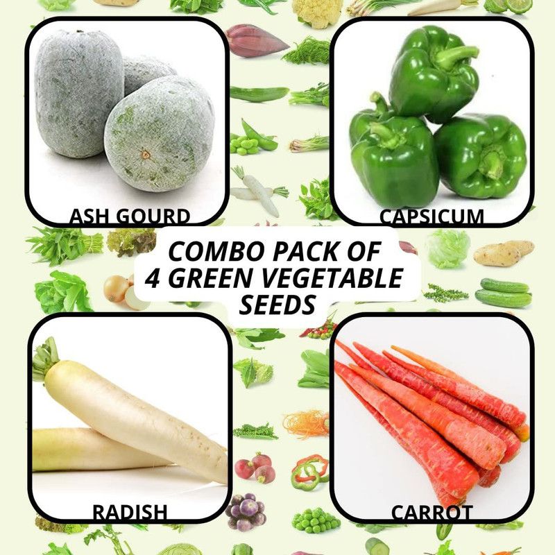 MKR Enterprises Combo Pack Seed  (40 per packet)