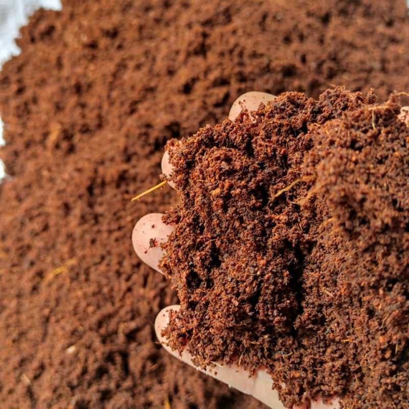 SOLATTA Cocopeat Powder for Gardening All Seeds and Plants (4kg) Manure  (4 kg, Powder)
