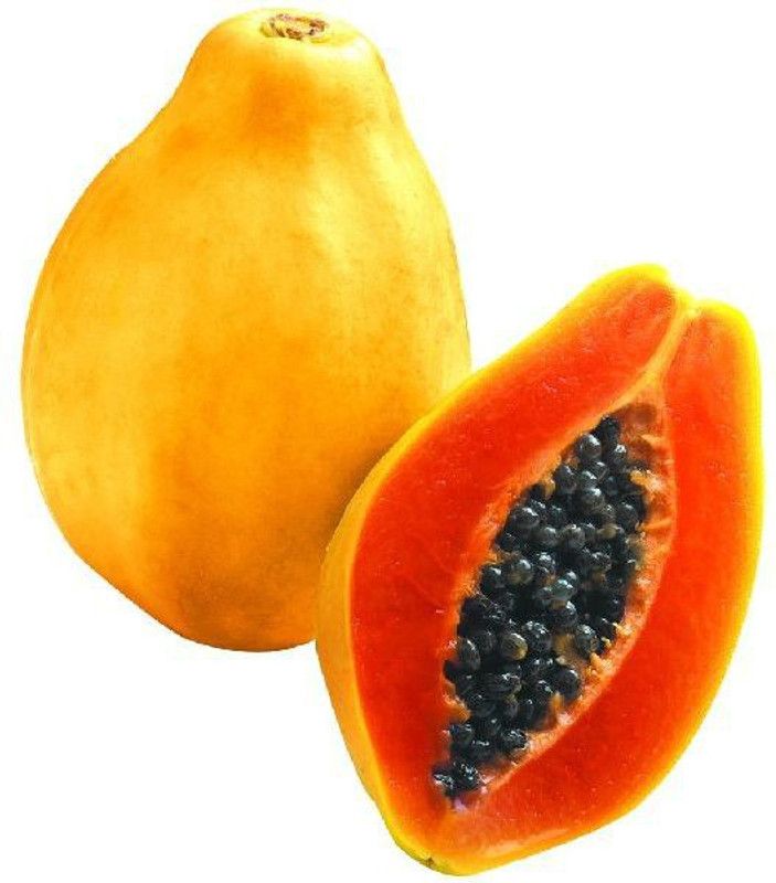 KLARKEE PAPITA PAPAYA SEED Seed  (300 per packet)