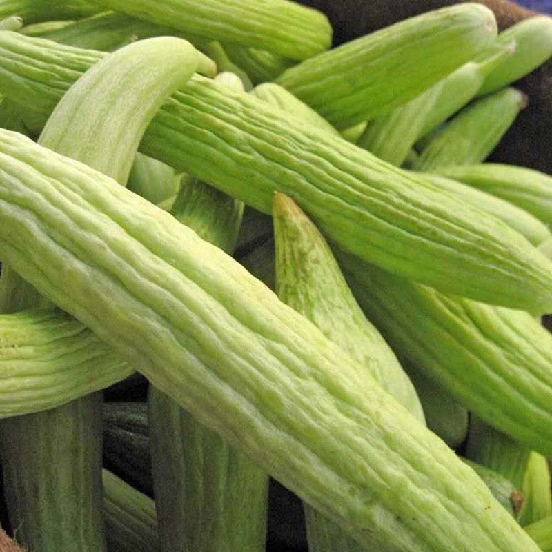 GOROOT GREEN LONG MELON (KAKRI) SEEDS-SD-100-X2 Seed  (100 per packet)