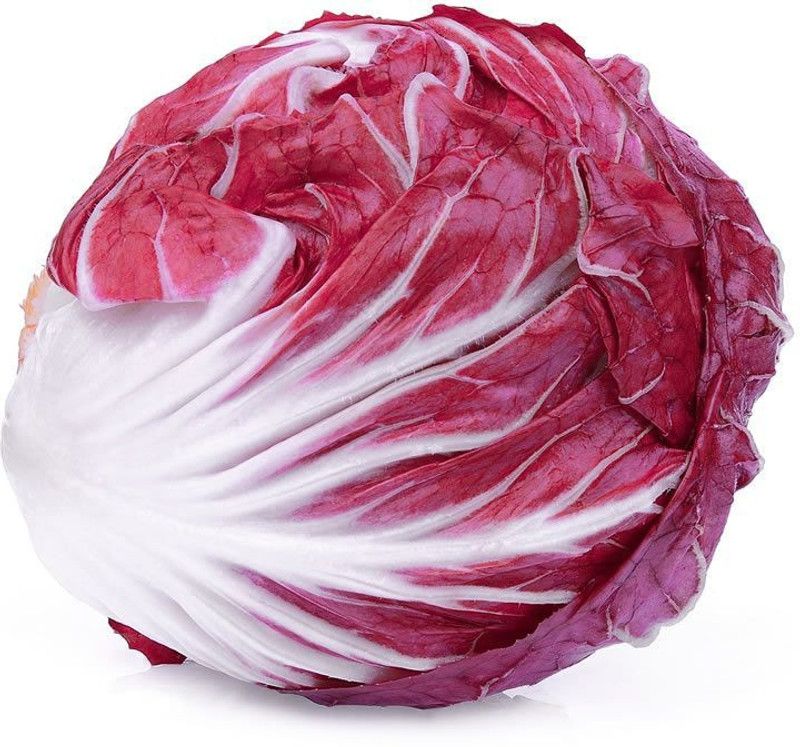 Nodoc Red Cabbage Seed  (12 per packet)