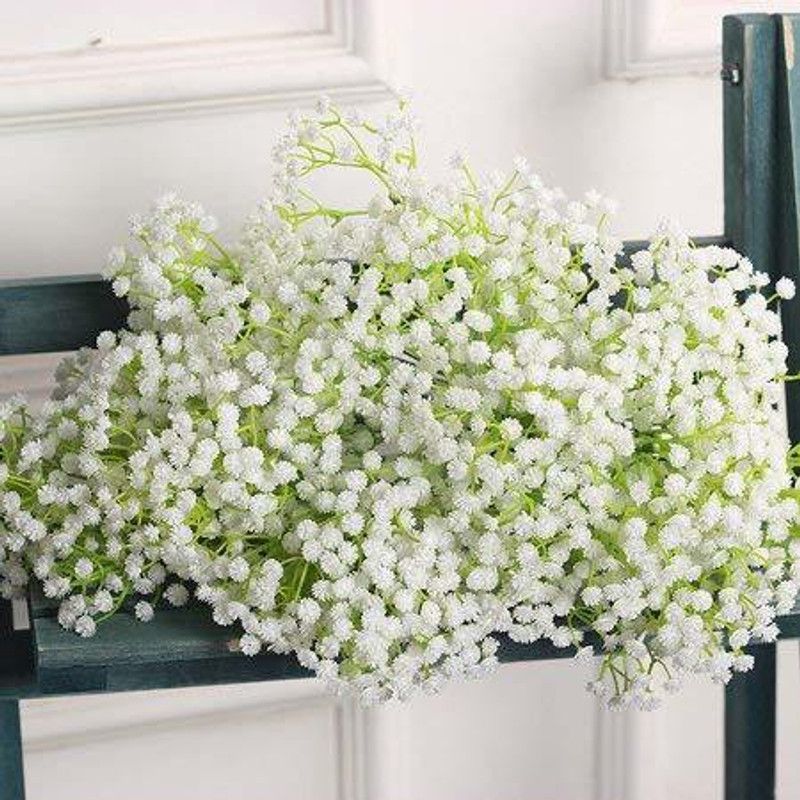 KANAYA Gypsophila Flower Seeds For Home Garden Seed  (110 per packet)