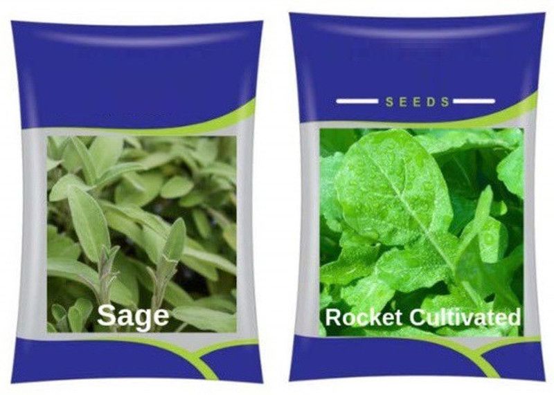 VibeX Herb Seed Sage & Rocket Cultivated Seed  (80 per packet)