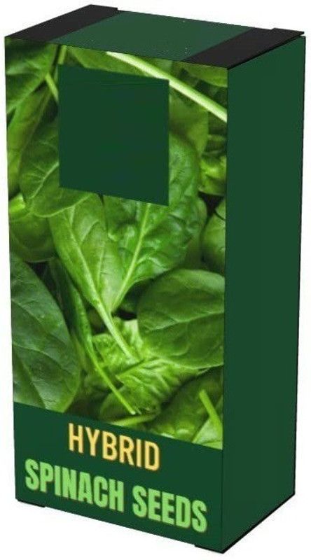 WILLVINE PAU-704 Desi Leafy Spinach (Palak) Seed  (500 per packet)