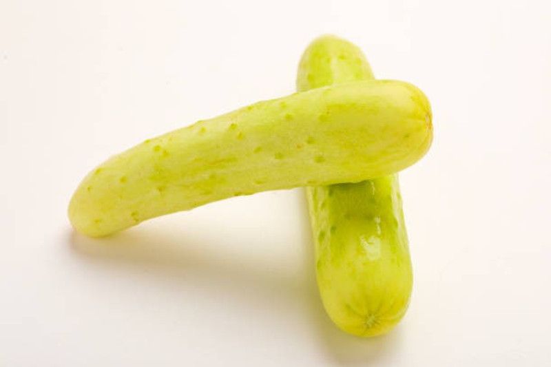 Platone Cucumber Seed  (15 per packet)
