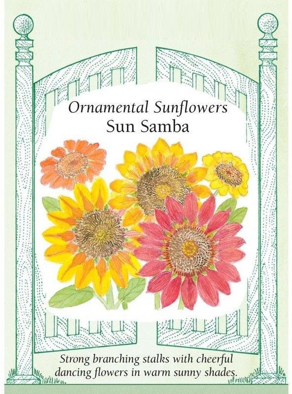 WILLVINE Ornamental Sunflower, Sun Samba Seed  (500 per packet)
