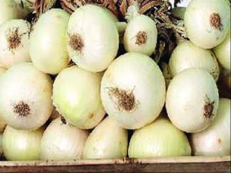 Mozette Onion White plant Seed  (32 per packet)