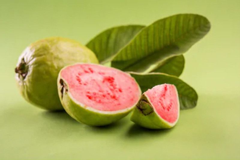 XOVO Guava Amrood Seed  (30 per packet)