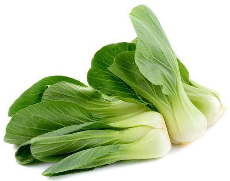PLANTZON Pak Choi/Bok choy Seed  (26 per packet)