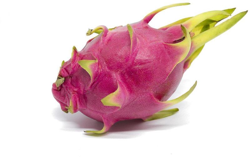 Paudha Dragon Fruit Seed  (20 per packet)