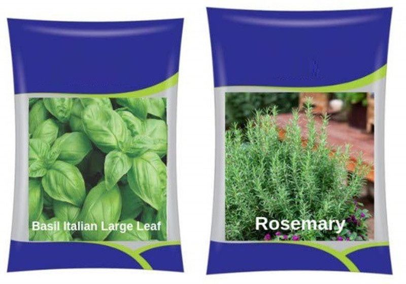 VibeX Rosemary & Italian Basil Herb Combo Seed  (50 per packet)