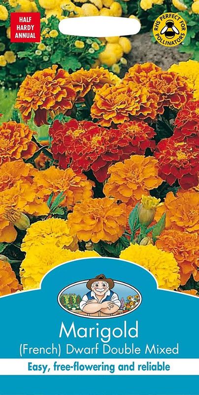WILLVINE ™Marigold African Sahara Mixed Flower Seeds Seed  (1000 per packet)