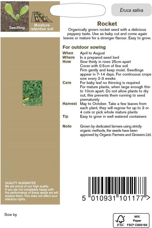 WILLVINE Rocket Herb Seed  (500 per packet)