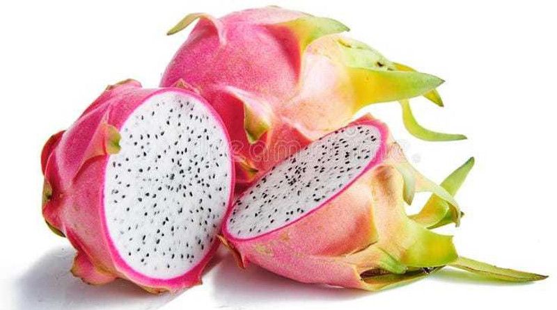 Oliver dragon fruit seed Seed  (32 per packet)