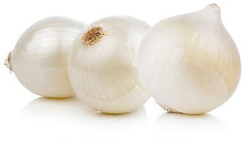 Paudha White Onion Seed  (48 per packet)