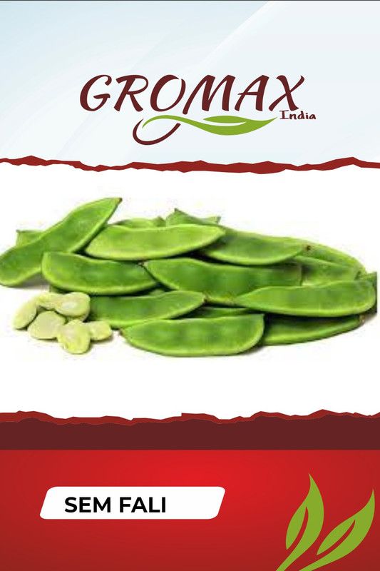 Gromax India Sem Fali Seed  (40 per packet)
