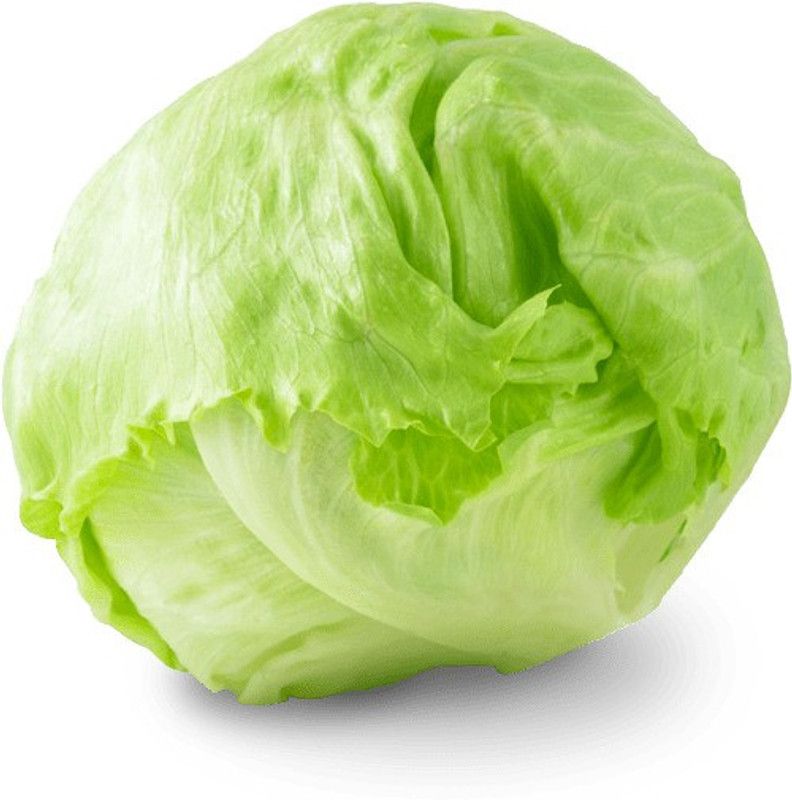 XOLDA Lettuce Ice Burg Seed  (20 per packet)