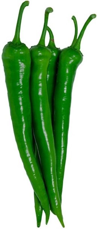 granthi High Quality Green Chilli हरी मिर्च Seed  (300 per packet)