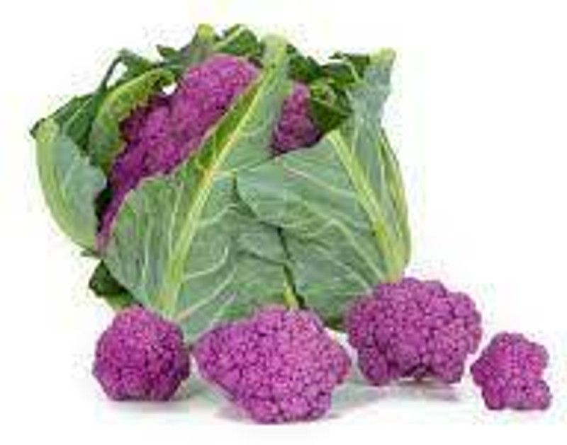 PMB Organic Cauli purple Seed  (40 per packet)