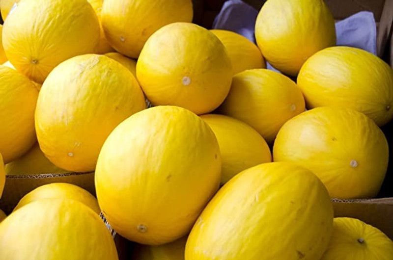 Aro Muskmelon, Kharbuja Seed  (65 per packet)